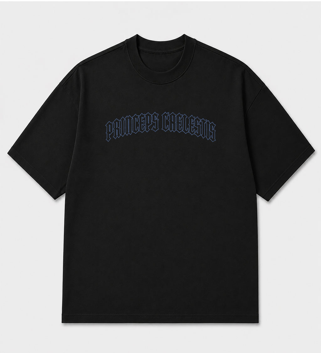 Camiseta Oversized - Princeps