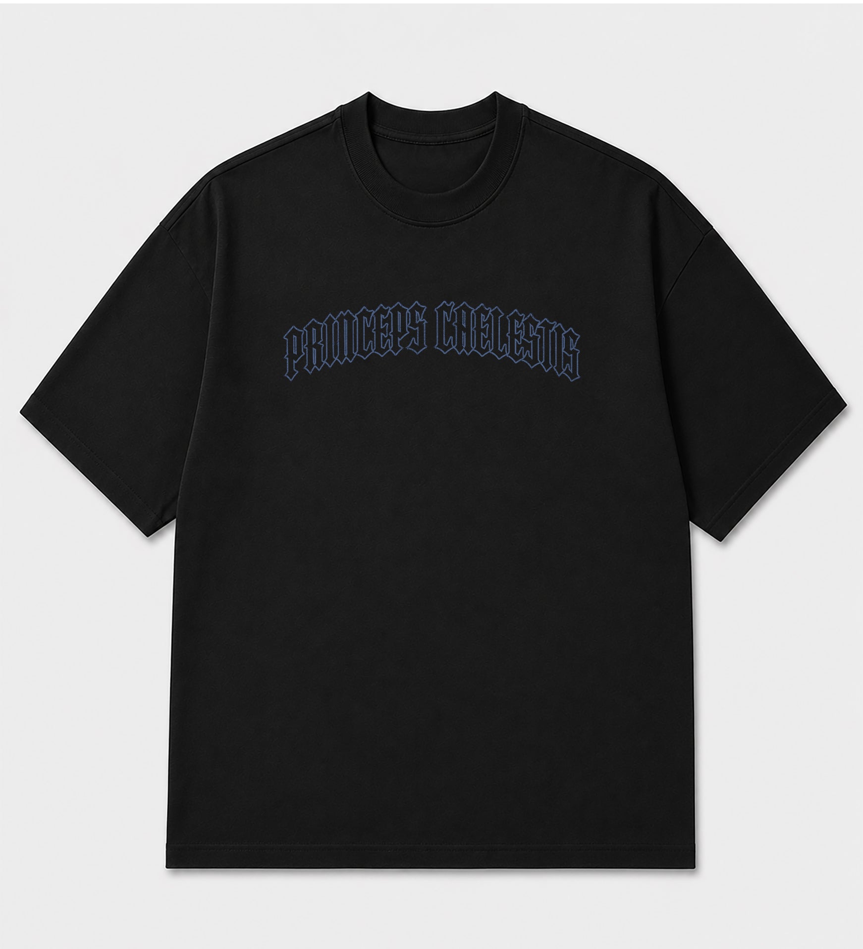 Camiseta Oversized - Princeps